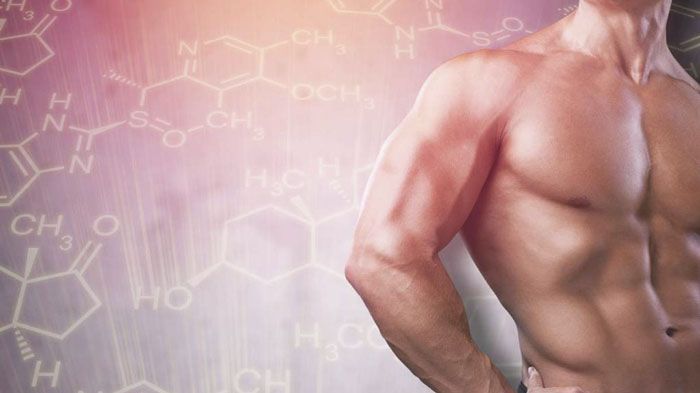 Контроль эстрадиола на курсе Сустанона — анализы и ингибиторы ароматазы