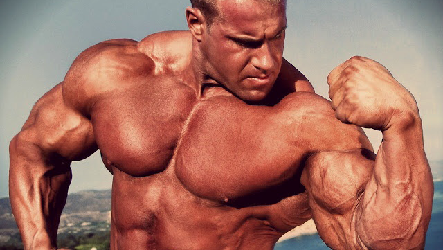 Тестостерон энантат — структура курса для начинающих